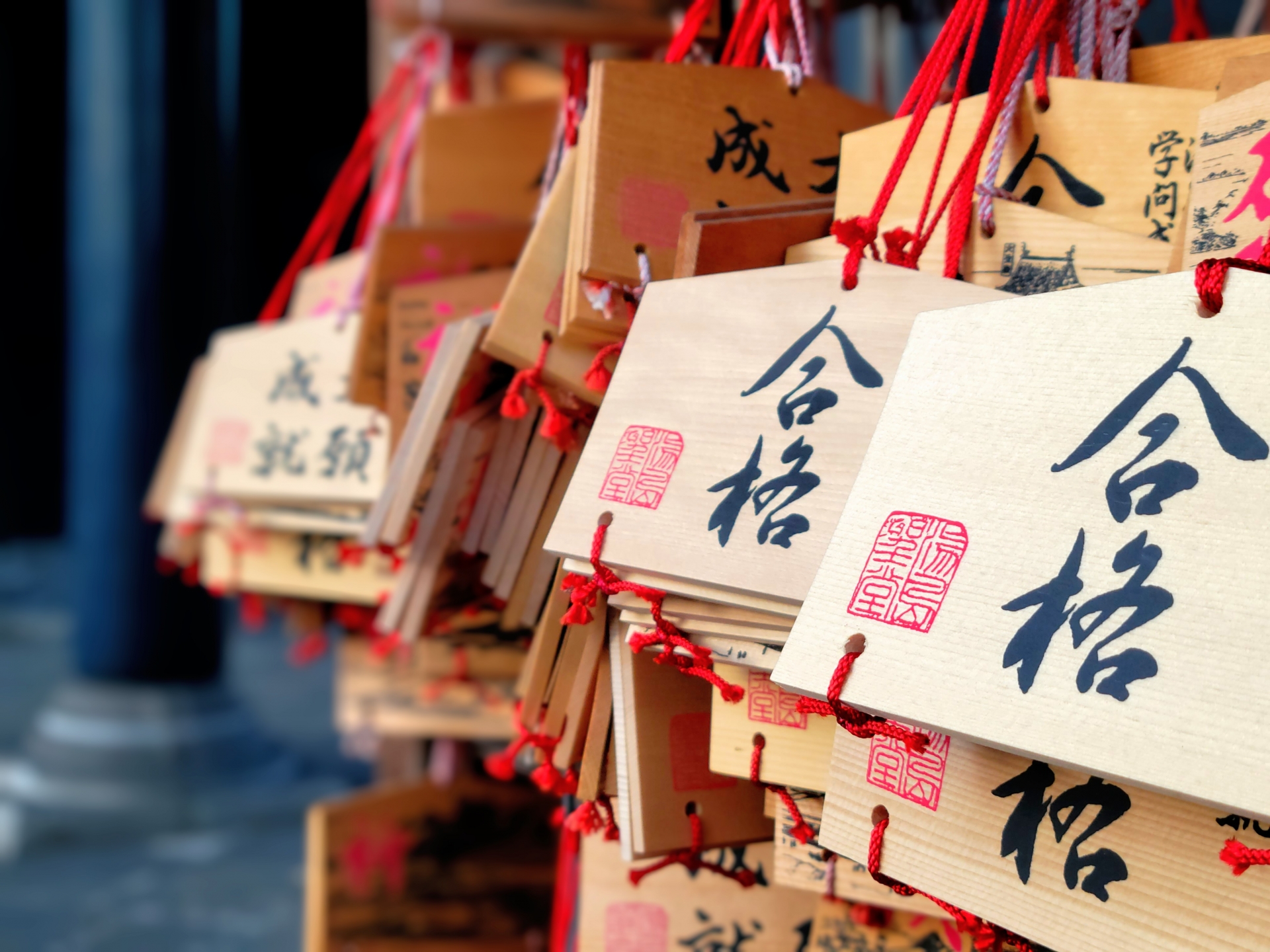 SN代ゼミ長岡校：第一志望合格者はどうしていたの？